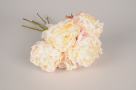 x392am Bunch of 6 cream artificial peonies H42cm