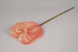 x529ee Anthurium artificiel orange H66cm