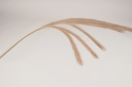 x613ee Beige artificial feather H138cm