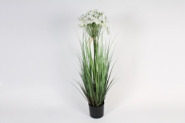 x655ee Agapanthe artificielle blanche H80cm 