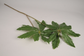 x719di Green artificial ricinus H95cm