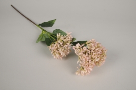 x736di Bouvardia artificiel rose clair H66cm