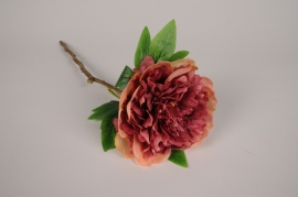 x760di Dark pink artificial peony H45cm