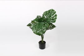 x776di Philodendron artificiel vert H65cm