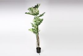 x781di Philodendron artificiel vert et blanc H150cm