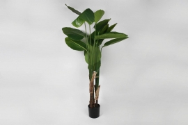 x785di Green artificial strelitzia H210cm