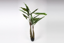 x789di Green artificial alocasia H240cm