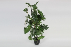 x817di Green artificial philodendron H80cm