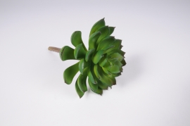 x821jp Green artificial succulent plant H18cm