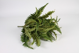 x858jp Green artificial fern H46cm