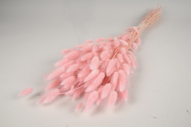 x936mi Light pink dried lagurus H70cm