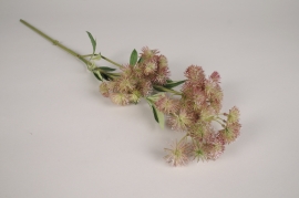 xa17nn Dark pink artificial daucus carota H67cm