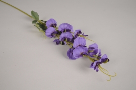 xa27nn Purple artificial sweet pea H69cm