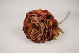 xa54nn Chocolate artificial peony H76cm