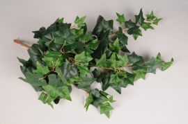 xt36vb Green artificial ivy L60cm