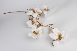 xx62ee Bauhinia artificiel blanc et or H114cm