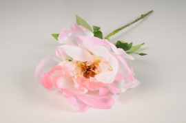 xy83di Pivoine artificielle rose et blanche H58cm